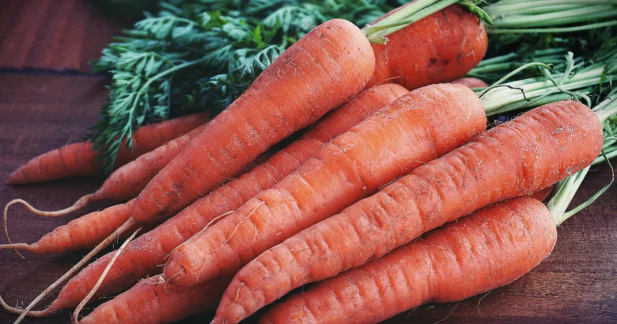 Plato de comida saludable con verduras frescas pensado para el control de la glucosa